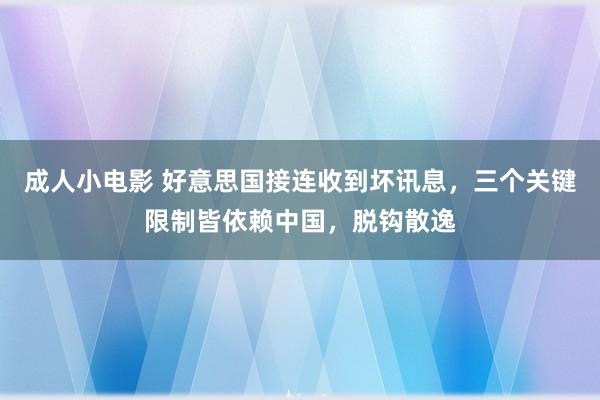 成人小电影 好意思国接连收到坏讯息，三个关键限制皆依赖中国，脱钩散逸