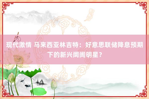 现代激情 马来西亚林吉特：好意思联储降息预期下的新兴阛阓明星？