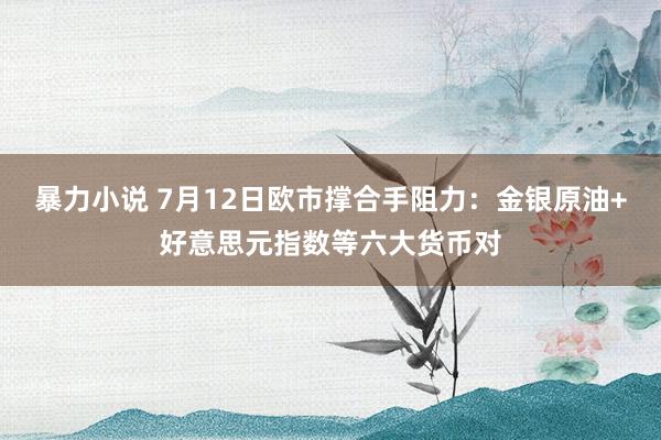 暴力小说 7月12日欧市撑合手阻力：金银原油+好意思元指数等六大货币对