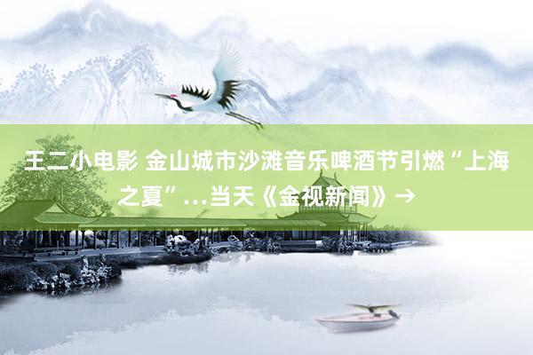 王二小电影 金山城市沙滩音乐啤酒节引燃“上海之夏”…当天《金视新闻》→