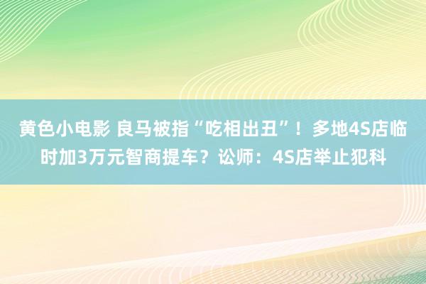 黄色小电影 良马被指“吃相出丑”！多地4S店临时加3万元智商提车？讼师：4S店举止犯科