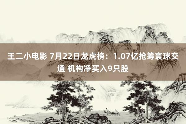 王二小电影 7月22日龙虎榜：1.07亿抢筹寰球交通 机构净买入9只股