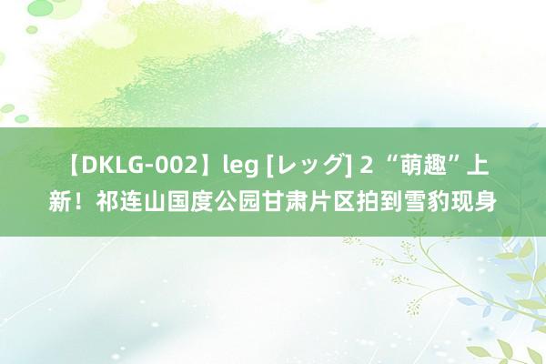 【DKLG-002】leg [レッグ] 2 “萌趣”上新！祁连山国度公园甘肃片区拍到雪豹现身