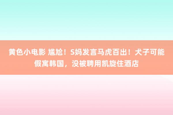 黄色小电影 尴尬！S妈发言马虎百出！犬子可能假寓韩国，没被聘用凯旋住酒店