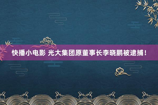 快播小电影 光大集团原董事长李晓鹏被逮捕！