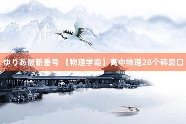 ゆりあ最新番号 【物理学霸】高中物理28个碎裂口