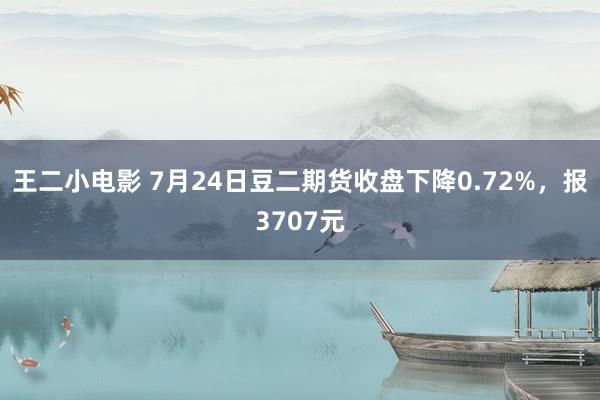 王二小电影 7月24日豆二期货收盘下降0.72%，报3707元