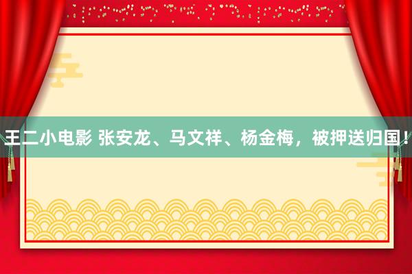 王二小电影 张安龙、马文祥、杨金梅，被押送归国！