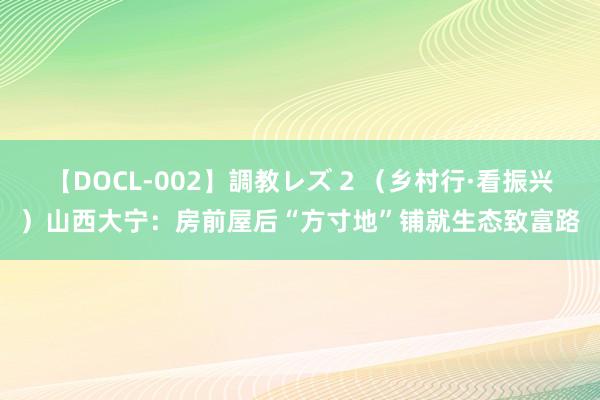 【DOCL-002】調教レズ 2 （乡村行·看振兴）山西大宁：房前屋后“方寸地”铺就生态致富路