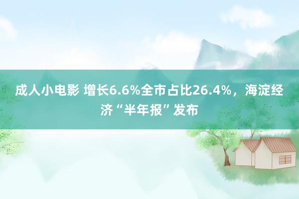 成人小电影 增长6.6%全市占比26.4%，海淀经济“半年报”发布