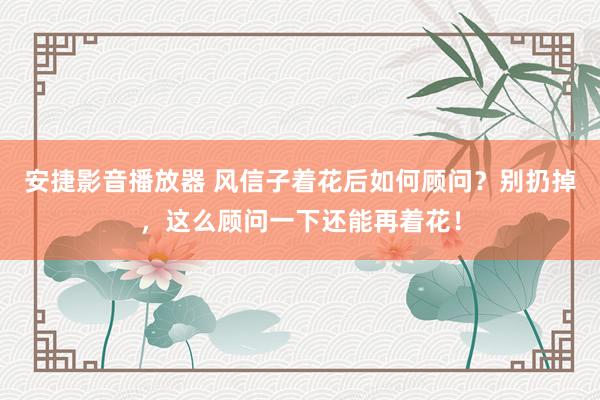 安捷影音播放器 风信子着花后如何顾问？别扔掉，这么顾问一下还能再着花！