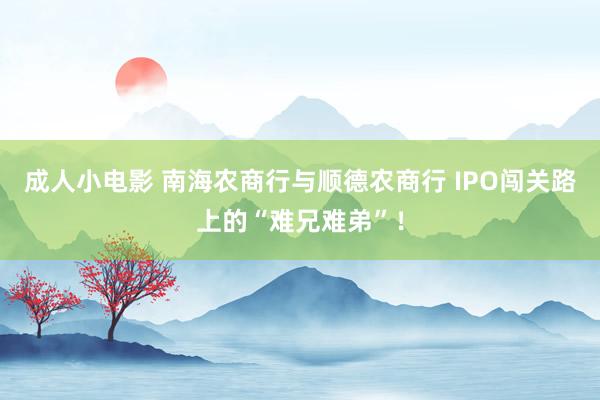 成人小电影 南海农商行与顺德农商行 IPO闯关路上的“难兄难弟”！