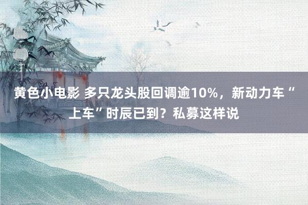 黄色小电影 多只龙头股回调逾10%，新动力车“上车”时辰已到？私募这样说