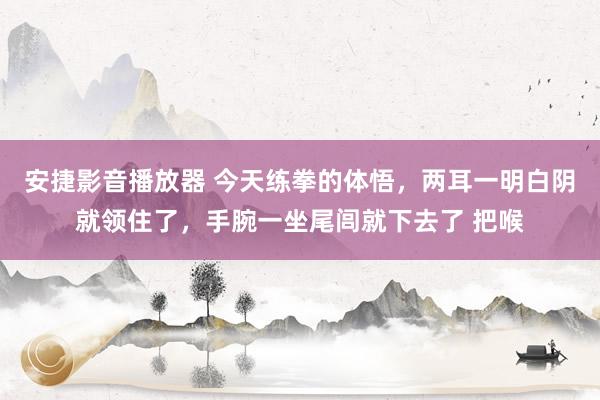 安捷影音播放器 今天练拳的体悟，两耳一明白阴就领住了，手腕一坐尾闾就下去了 把喉