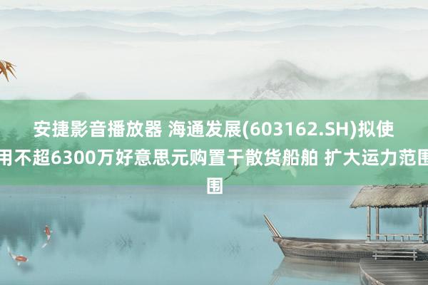 安捷影音播放器 海通发展(603162.SH)拟使用不超6300万好意思元购置干散货船舶 扩大运力范围