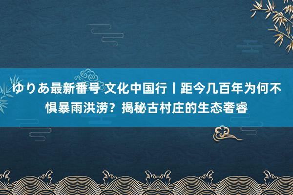 ゆりあ最新番号 文化中国行丨距今几百年为何不惧暴雨洪涝？揭秘古村庄的生态奢睿