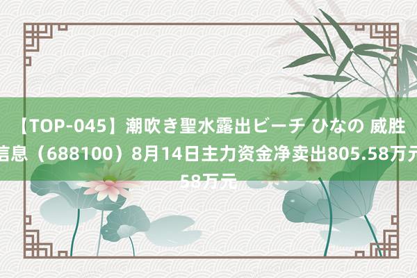 【TOP-045】潮吹き聖水露出ビーチ ひなの 威胜信息（688100）8月14日主力资金净卖出805.58万元