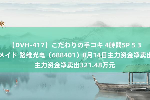 【DVH-417】こだわりの手コキ 4時間SP 5 30人のハンドメイド 路维光电（688401）8月14日主力资金净卖出321.48万元