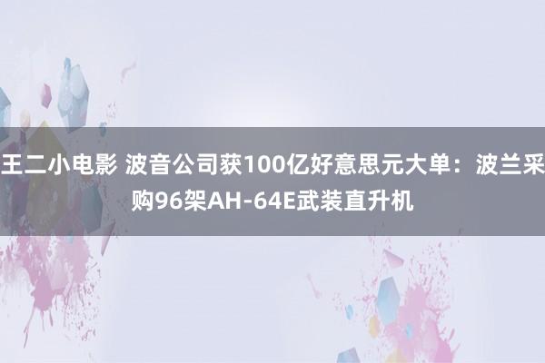 王二小电影 波音公司获100亿好意思元大单：波兰采购96架AH-64E武装直升机