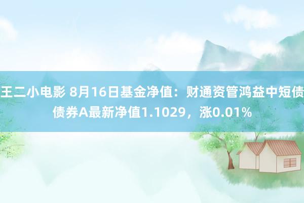 王二小电影 8月16日基金净值：财通资管鸿益中短债债券A最新净值1.1029，涨0.01%