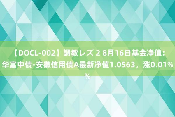 【DOCL-002】調教レズ 2 8月16日基金净值：华富中债-安徽信用债A最新净值1.0563，涨0.01%