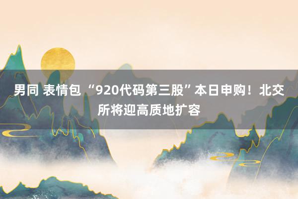 男同 表情包 “920代码第三股”本日申购！北交所将迎高质地扩容