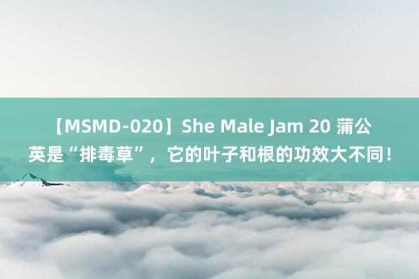 【MSMD-020】She Male Jam 20 蒲公英是“排毒草”，它的叶子和根的功效大不同！