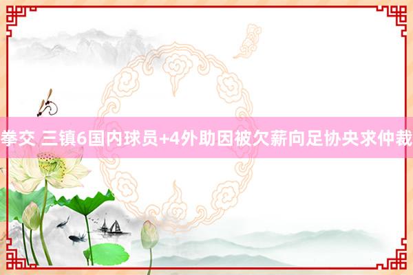 拳交 三镇6国内球员+4外助因被欠薪向足协央求仲裁