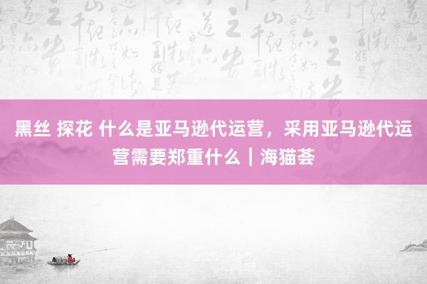 黑丝 探花 什么是亚马逊代运营，采用亚马逊代运营需要郑重什么｜海猫荟