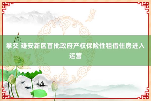 拳交 雄安新区首批政府产权保险性租借住房进入运营