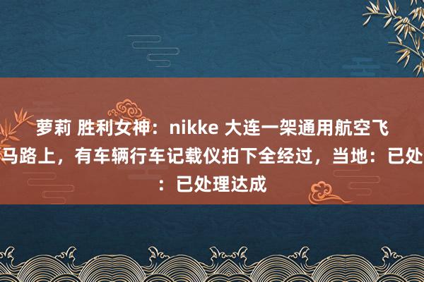 萝莉 胜利女神：nikke 大连一架通用航空飞机陨落马路上，有车辆行车记载仪拍下全经过，当地：已处理达成