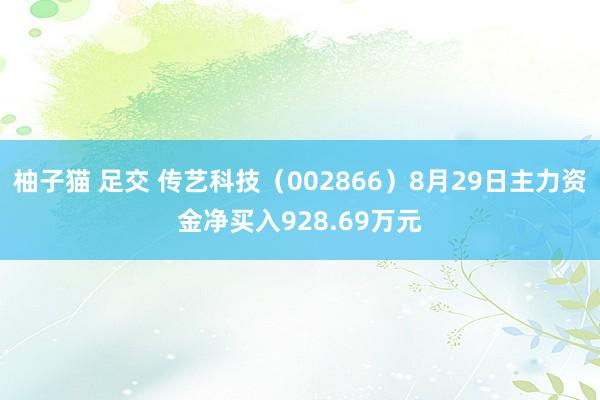 柚子猫 足交 传艺科技（002866）8月29日主力资金净买入928.69万元