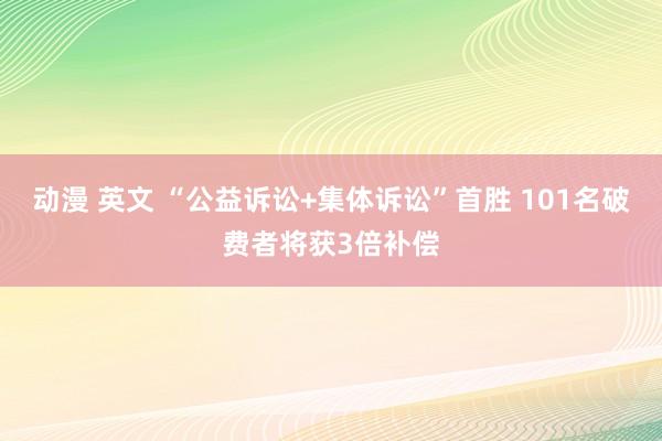 动漫 英文 “公益诉讼+集体诉讼”首胜 101名破费者将获3倍补偿