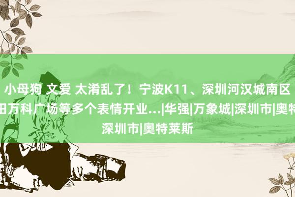 小母狗 文爱 太淆乱了！宁波K11、深圳河汉城南区、坂田万科广场等多个表情开业...|华强|万象城|深圳市|奥特莱斯