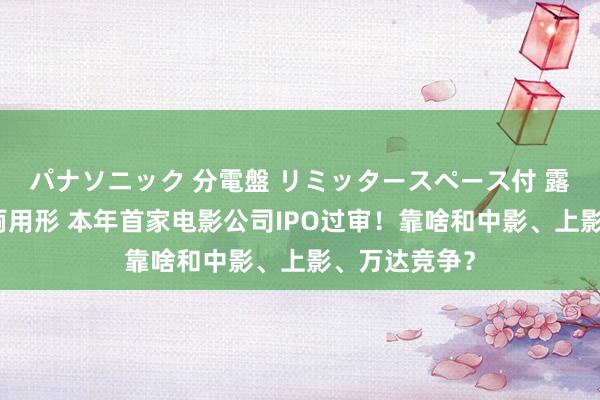 パナソニック 分電盤 リミッタースペース付 露出・半埋込両用形 本年首家电影公司IPO过审！靠啥和中影、上影、万达竞争？