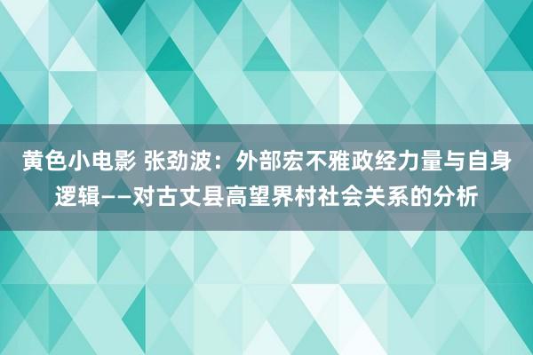 黄色小电影 张劲波：外部宏不雅政经力量与自身逻辑——对古丈县高望界村社会关系的分析