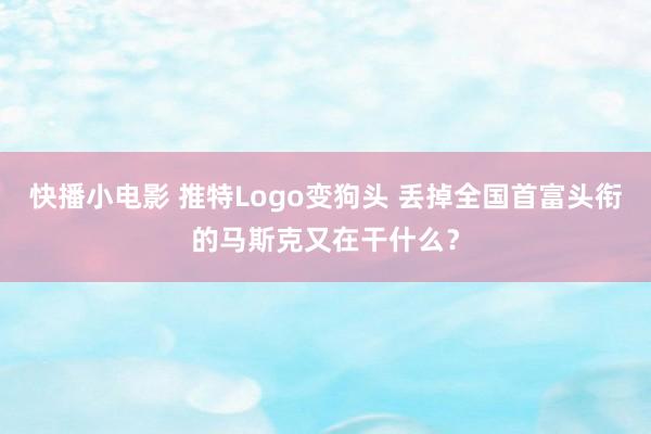 快播小电影 推特Logo变狗头 丢掉全国首富头衔的马斯克又在干什么？