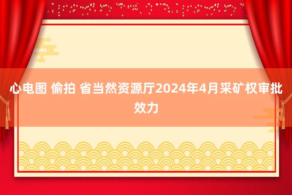 心电图 偷拍 省当然资源厅2024年4月采矿权审批效力