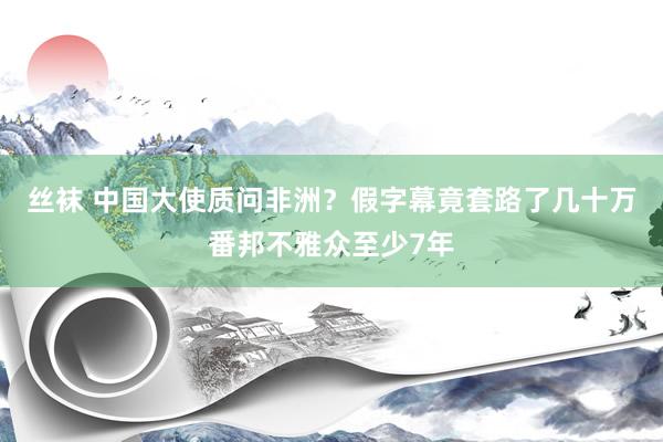 丝袜 中国大使质问非洲？假字幕竟套路了几十万番邦不雅众至少7年