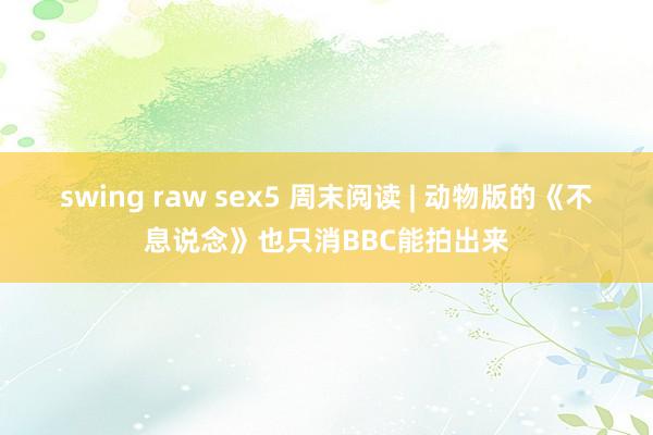 swing raw sex5 周末阅读 | 动物版的《不息说念》也只消BBC能拍出来