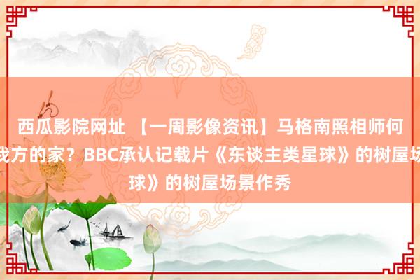 西瓜影院网址 【一周影像资讯】马格南照相师何如拍摄我方的家？BBC承认记载片《东谈主类星球》的树屋场景作秀